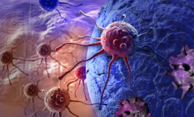 В ближайшие четыре года ученые начнут тестировать универсальное лекарство от рака