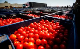 Россия запретила томаты из Азербайджана и Армении. 5 вопросов к запрету