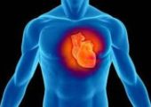 Медики назвали правила, способные предотвратить инфаркт