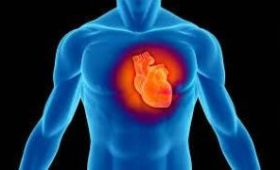 Медики назвали правила, способные предотвратить инфаркт