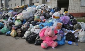 В РЭО измерили сортируемые в России отходы в слонах
