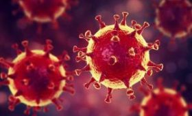 4 способа предотвратить коронавирус по мнению эпидемиолога-инфекциониста из США