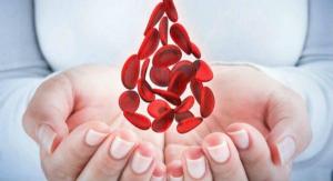 Очищение крови может вылечить от коронавируса
