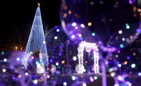 Губернатор Севастополя призвал не выходить на улицу в новогоднюю ночь»/>
