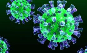 Коронавирус может распространиться быстрее, чем прогнозирует ВОЗ