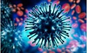 Израильский врач рассказал о неправильном лечении коронавирусной инфекции