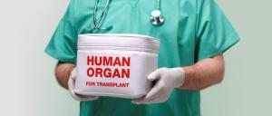 Степанов: для развития трансплантации в Украине требуется решить ряд вопросов