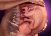 Слушает голос мамы, копирует эмоции: чем занимается ребенок в утробе